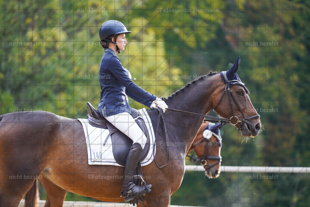 20221008-FAH00832 | Diessen am Ammersee, 2022, Dressur- und Springturnier, Reitsportbilder, Turnierfotografen Bayern, Pferdefotografen, Fotoagentur Herrmann, Turnierbilder
