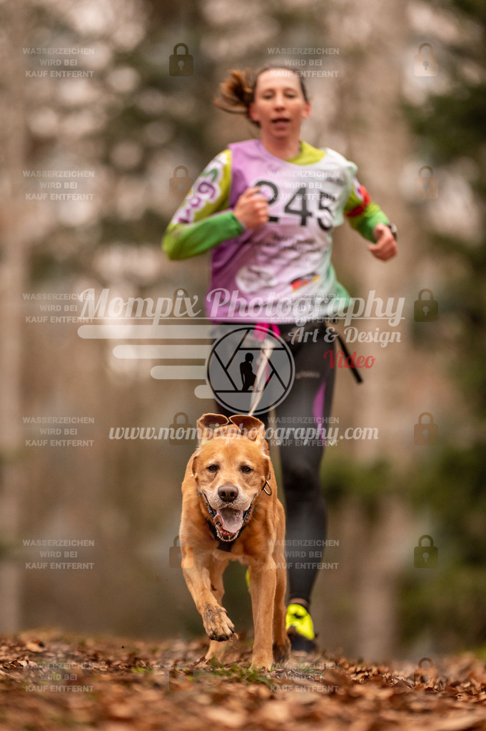 AKM_ST_2023_SAM_Run-108 | PayLife