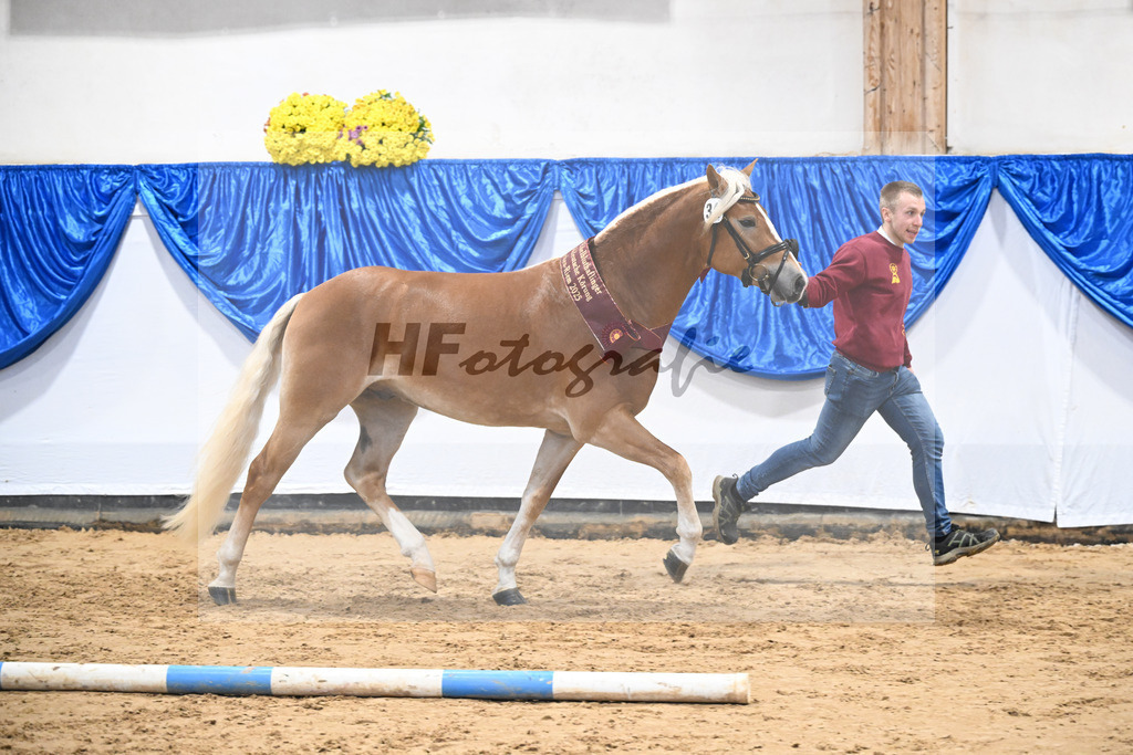 Kat-Nr. 34 nn v. Starino I_Grimminger_48251815 | hf-fotografie - Realisiert mit Pictrs.com