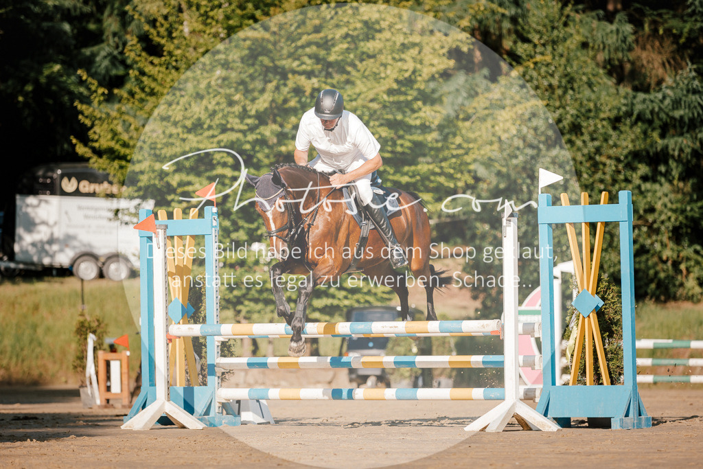 3I6A6184 | Stimmungsvolle Portraits und Reitsportfotografie im Ruhrgebiet und im Münsterland.

Pferdefotografie, Hundefotografie, Tierfotografie, Reportagen, Portraits von Tier und Mensch, Turnierfotografie in Bochum, Recklinghausen, Marl, Haltern am See, Dülmen.. - Realisiert mit Pictrs.com