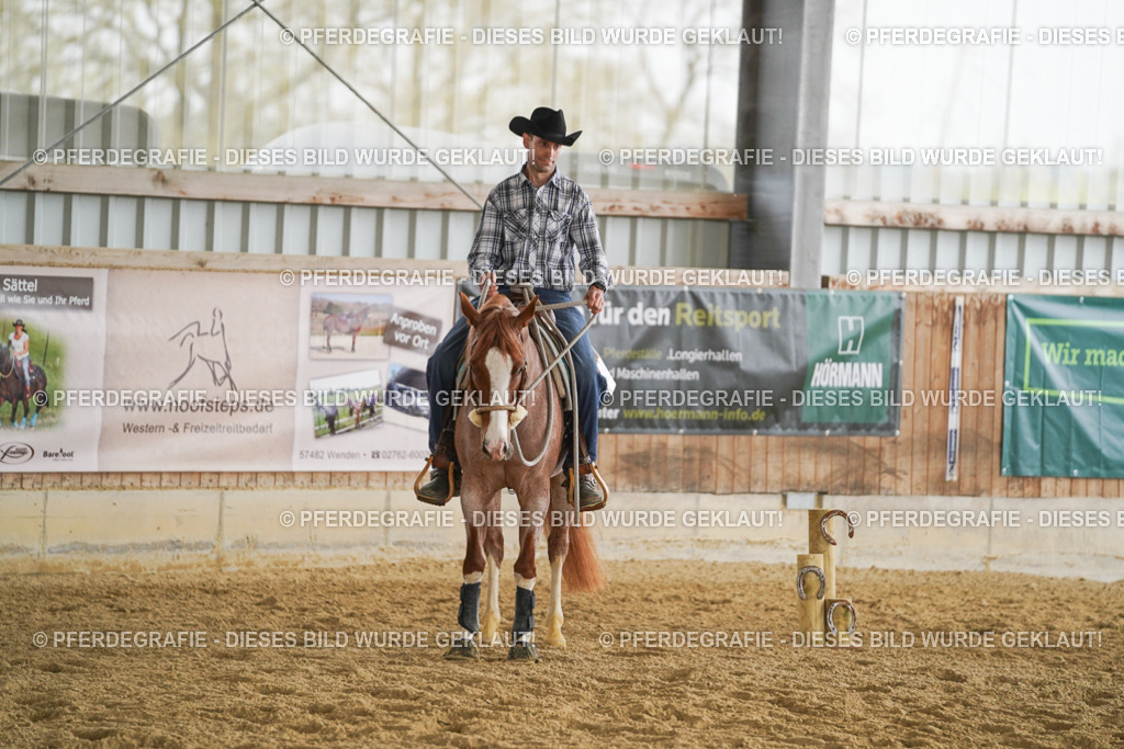 DSC03678 | Pferdegrafie