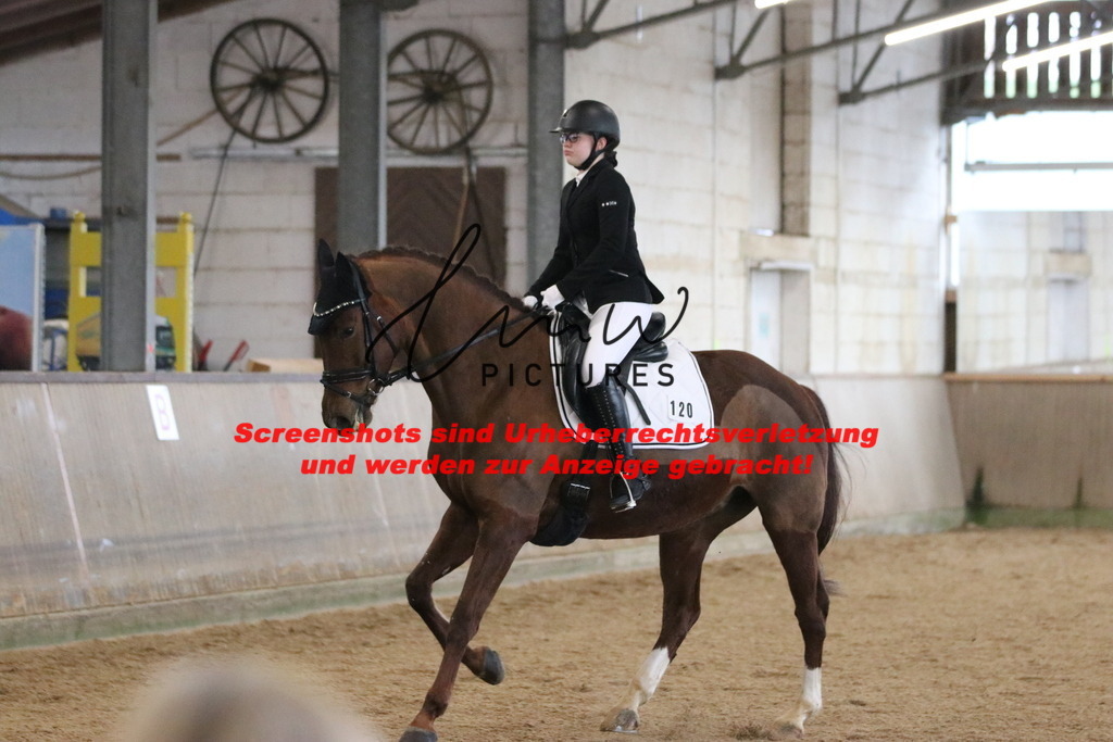 IMG_6400 | lmwpictures - Realisiert mit Pictrs.com