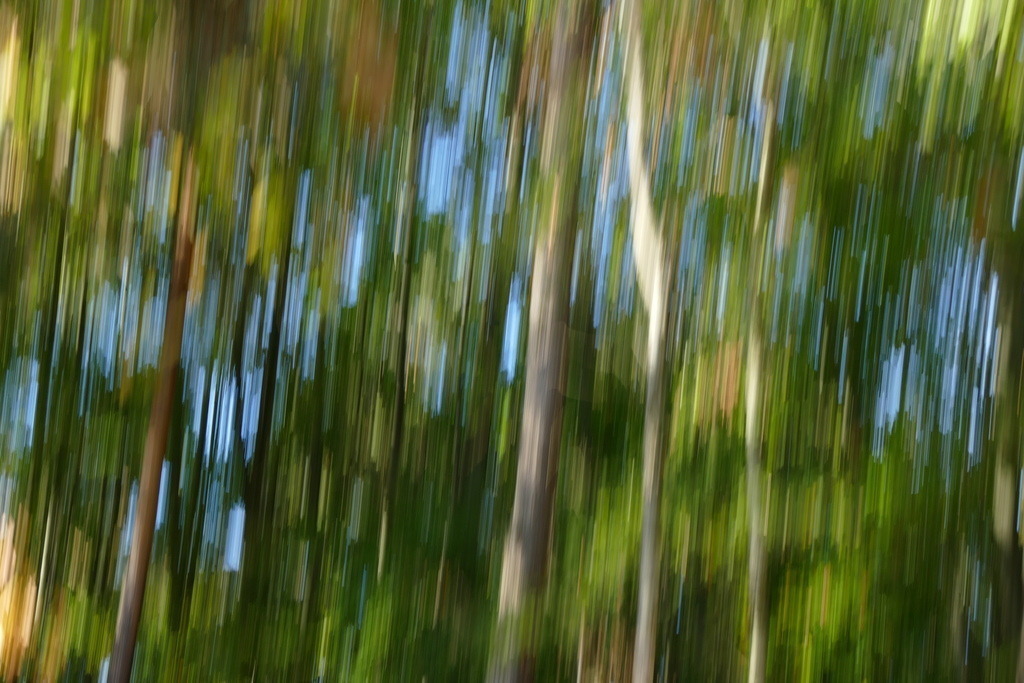 P4040956 | Annaeherungen - Realisiert mit Pictrs.com