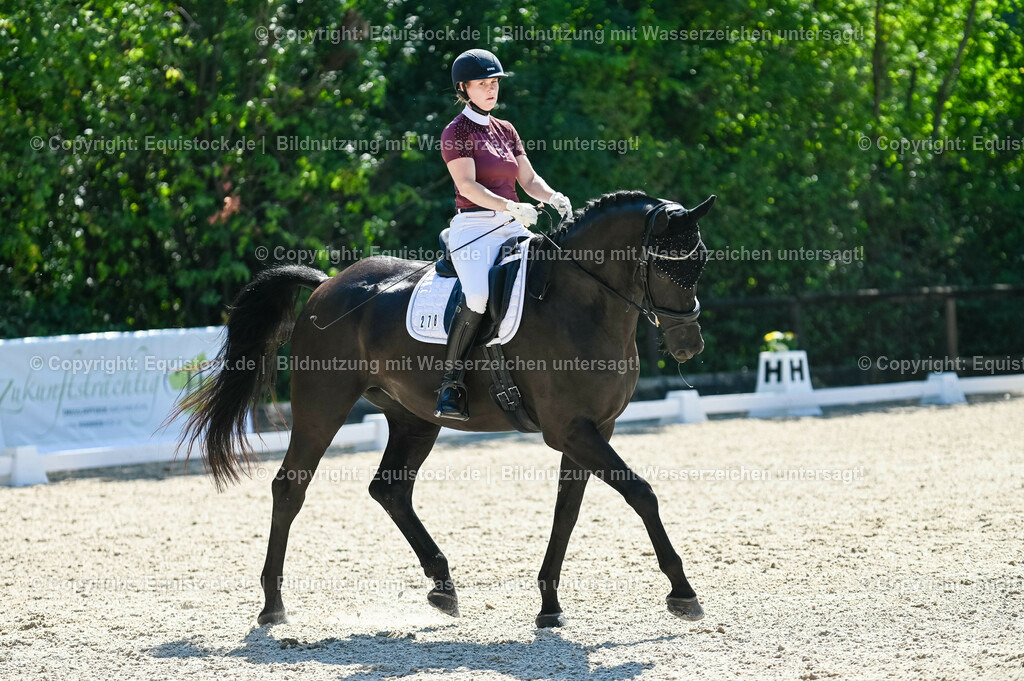 20230908_06_Dressur-L-Trense_0752 | equistock