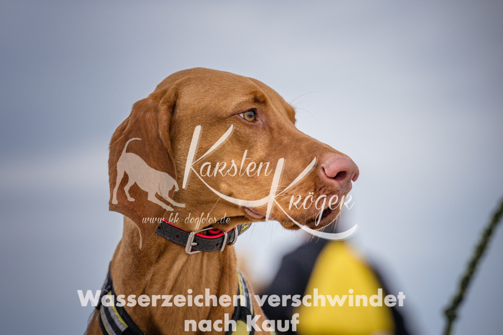 1214_ZZ92975 | kk-dogfotos