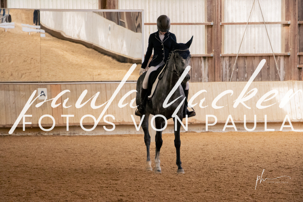 IMG_4946 | Erleben Sie dynamische Sport- und emotionale Tierfotografie in Süddeutschland mit Fotos von Paula. Spezialisiert auf Pferde- und Hundefotografie sowie Sportevents. Kontaktieren Sie mich für einzigartige und ausdrucksstarke Bilder Ihrer besonderen Momente. - Realisiert mit Pictrs.com