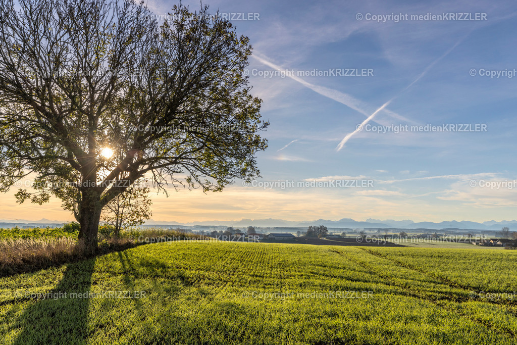 _J3A9048 | medienkrizzler - Realisiert mit Pictrs.com