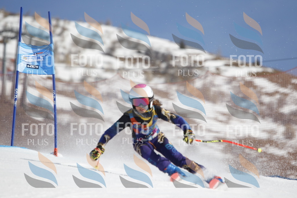 _U3G8666 | holidayphoto