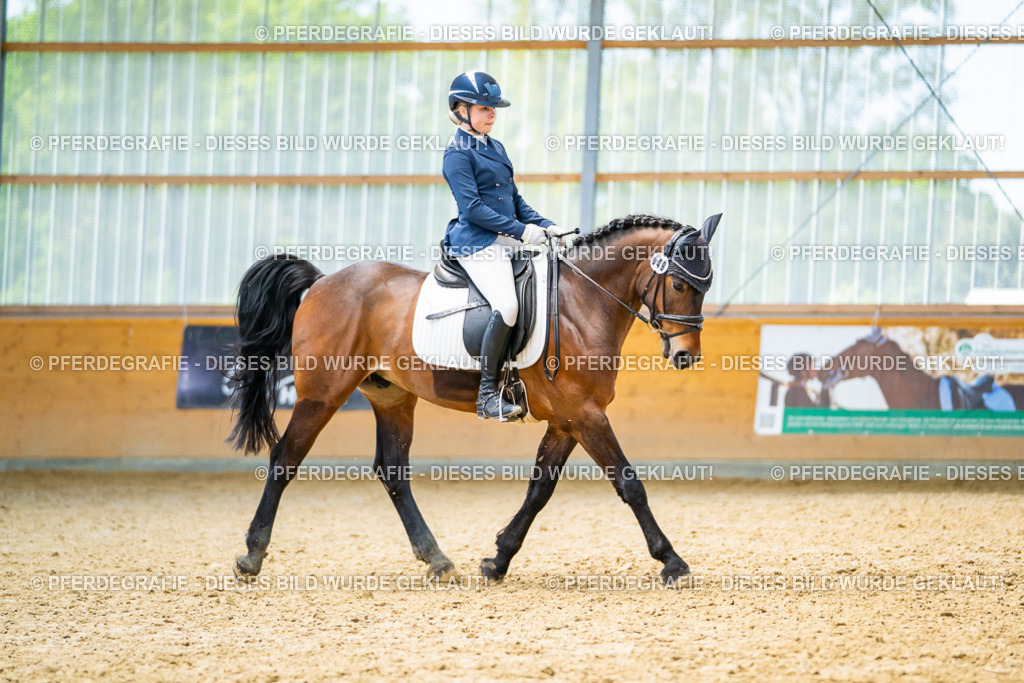 DSC09450 | Pferdegrafie