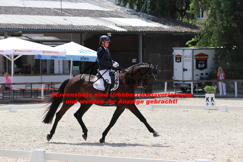 IMG_4789 | lmwpictures - Realisiert mit Pictrs.com