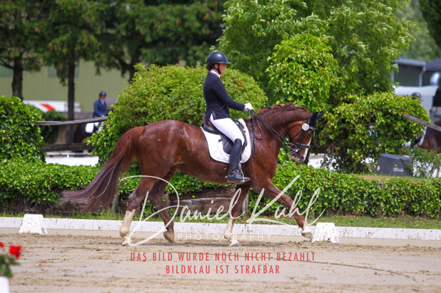 DKP40752 | Turniersportfotografie; Pferdefotografie; Dressurfotografie