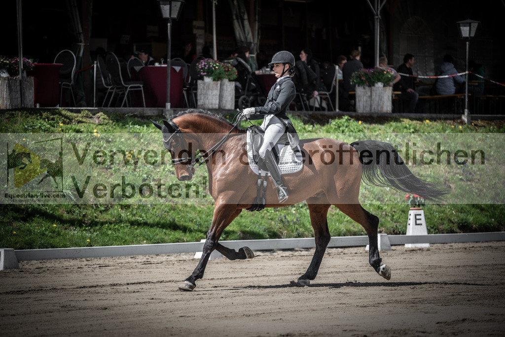 DSC_1794 | equestrian-live-com