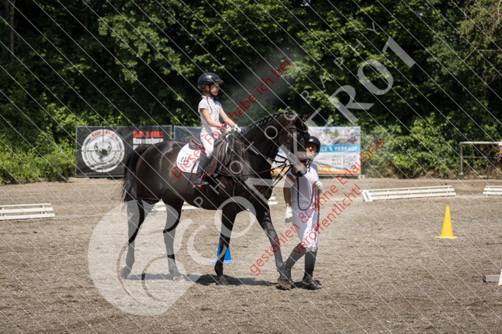 IMG_3427 | Sport-, Event- und Tierfotos in Profiqualität. Einfach auswählen, bestellen und herunterladen. Dein Moment – perfekt festgehalten.