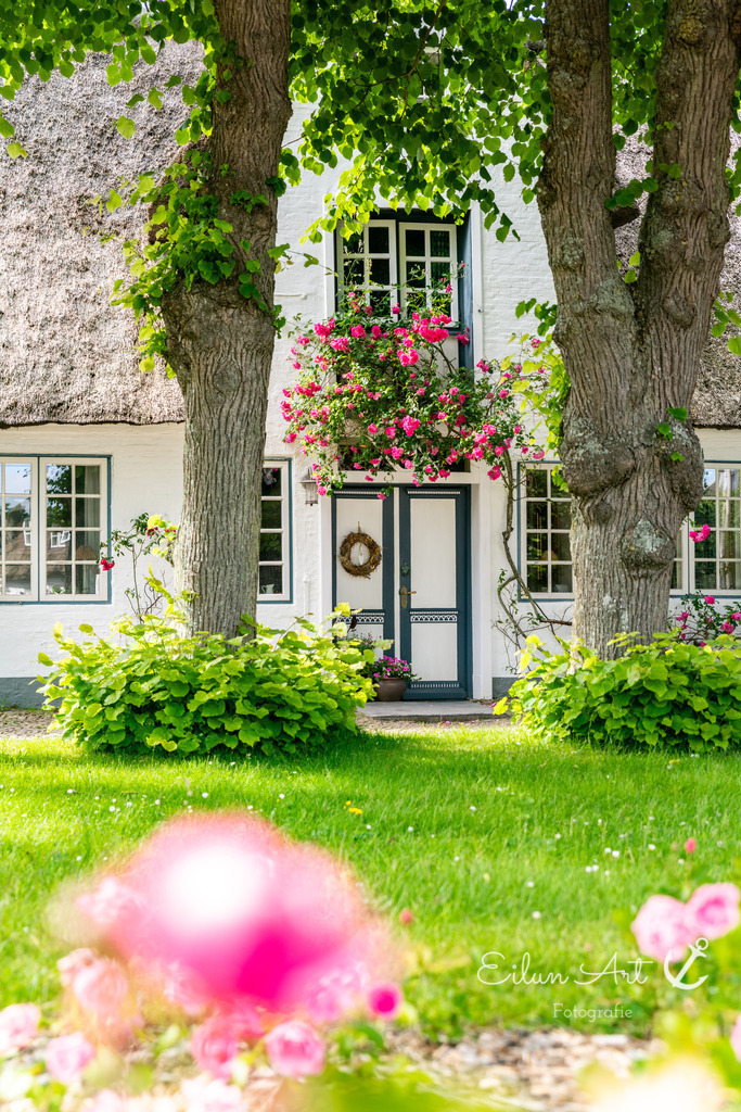 20240619-EAF_4085 | Eilun-Art-Fotografie Levke Martens, ihre Fotografin für Immobilien- und Landschaftsfotografie auf Föhr, Föhrer Motive als Poster, Leinwand, hinter Acrylglas oder stelle dir deinen eigenen Monatskalender zusammen, mit nur einem Klick