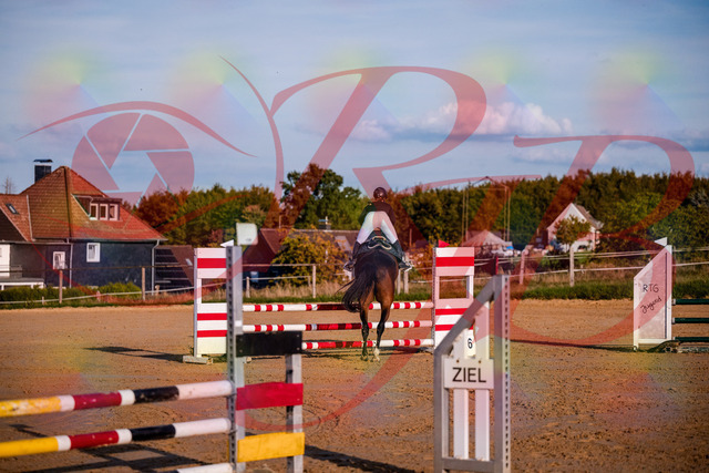 2026_10_03_Siefer-Hof_171039_Z81_07547893 | Professionelle Reitsport-, Turnier- und Eventfotografie von Robert Broda. Galerien mit ausgewählten und bearbeiteten Bildern direkt online ansehen und bestellen.