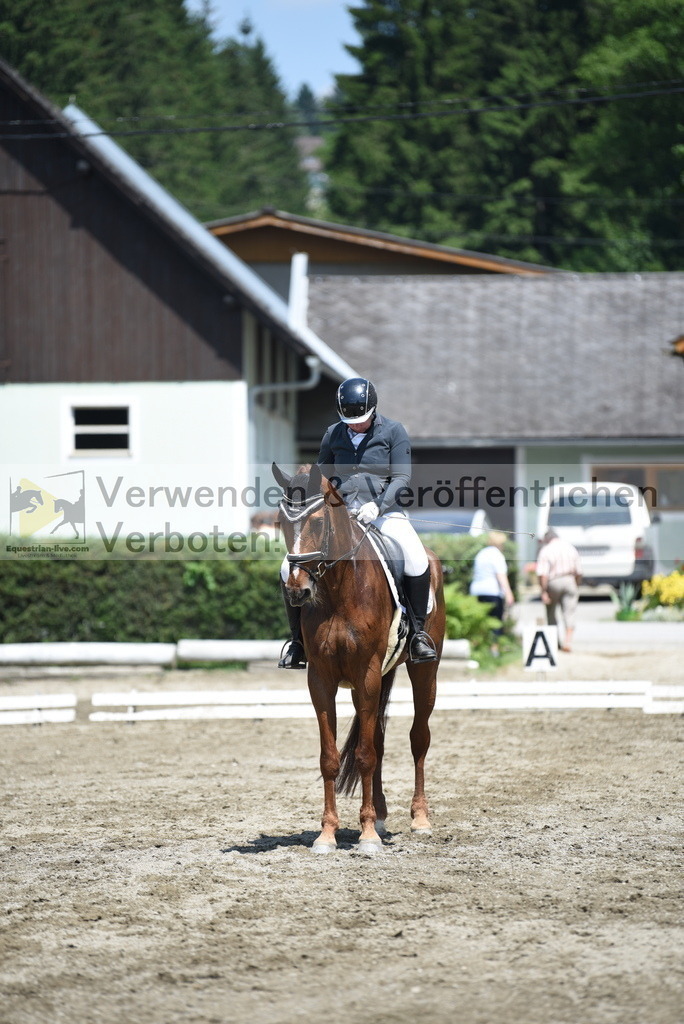 DSC_0818 | equestrian-live-com