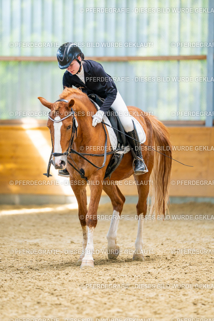 DSC08662 | Pferdegrafie