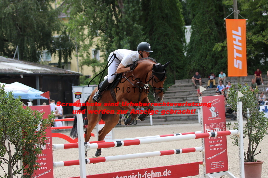 IMG_2135 | lmwpictures - Realisiert mit Pictrs.com