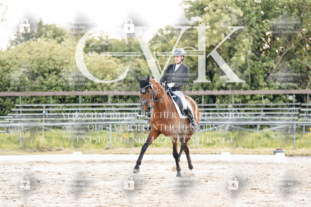 CK909810 | Turnierfotografie Pferdefotografie Trier Rheinland-Pfalz Pferdesport Reitsport Tierfotografie Sportfotografie Pferdevideo Pferdevideografie Equestrianvideography equestrianphotography  - Realisiert mit Pictrs.com