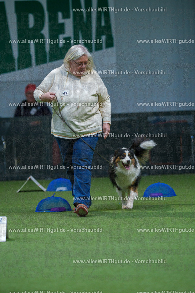 7R501413 | Professionelle Tierfotografie in Mönchengladbach von Daniel Wirth (allesWIRTHgut). Liebevolle & natürliche Bilder von Hunden & Katzen für unvergessliche Erinnerungen.