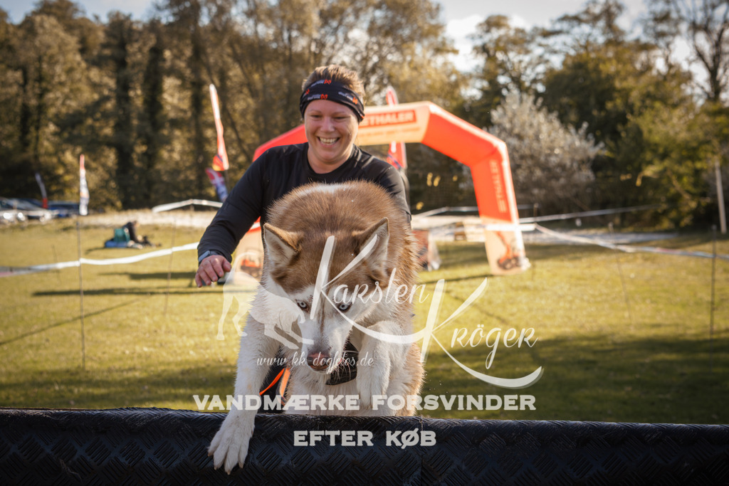 1227_ZZ96328-2 | kk-dogfotos