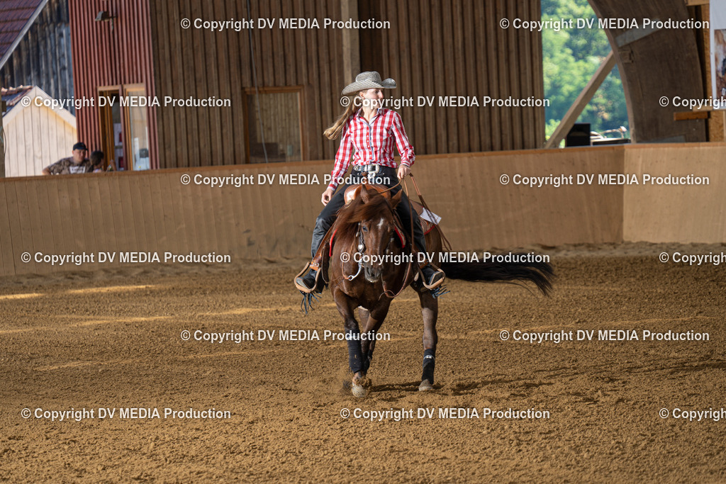 DSC00104 | dv-media-shop - Realisiert mit Pictrs.com