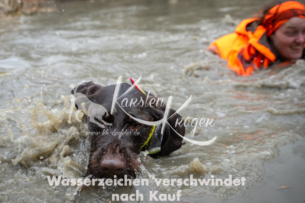 1415_ZZ97647 | kk-dogfotos