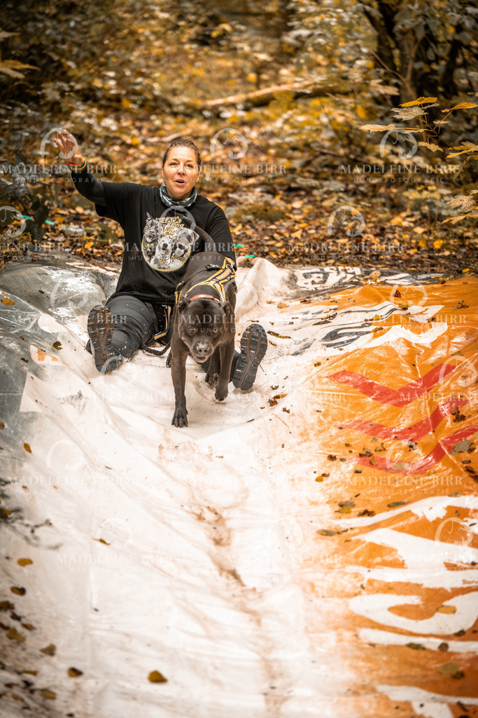 madeleinebirr-fotografie2025.campcanis.sa.8-9Uhr-133 | hundefotografie-birr