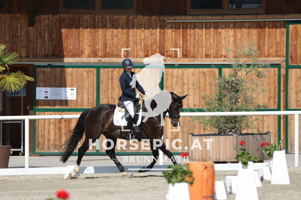 0P6A0375 | Willkommen bei Brunnmayr - Design & Fotografie – Ihrem Spezialisten für Reitturniere und Pferdeveranstaltungen in Oberösterreich, Salzburg und Bayern! Seit über 17 Jahren sind wir leidenschaftlich dabei.