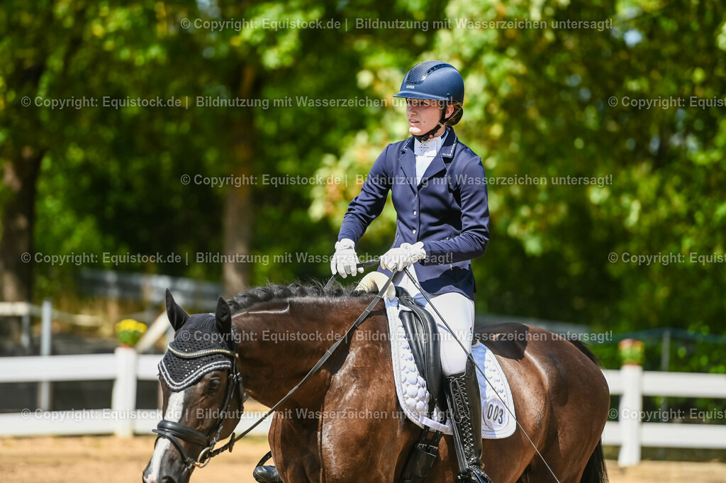 20230715_02_Dressurreiterprüfung Kl.L_0315 | equistock