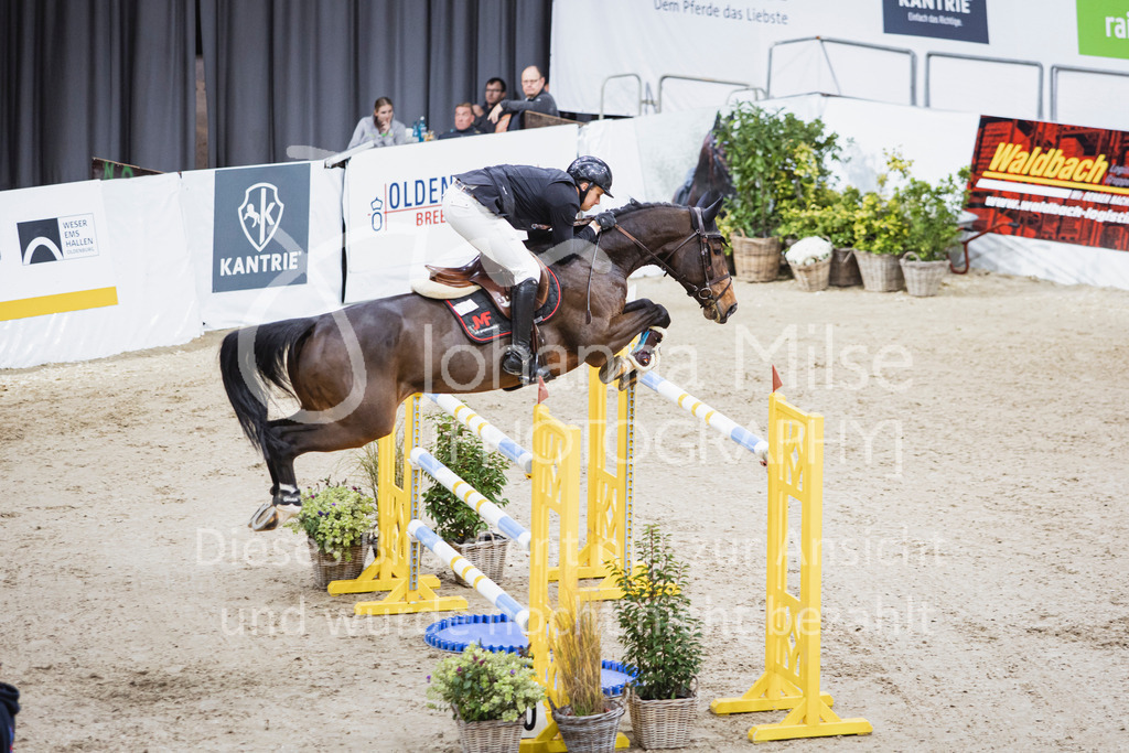 251102_OLD_S4-Spr_GP-901 | AGRAVIS Cup Oldenburg 2025 | S****-Springen | Große Tour