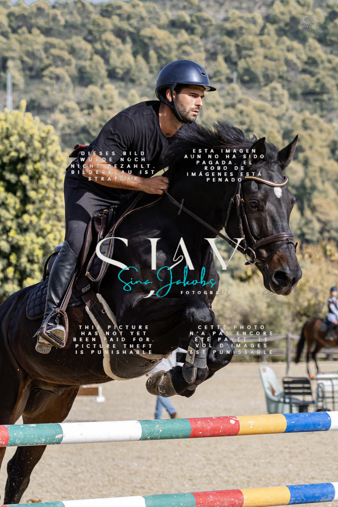 IMG_3427 | s-jay-photography - Realisiert mit Pictrs.com