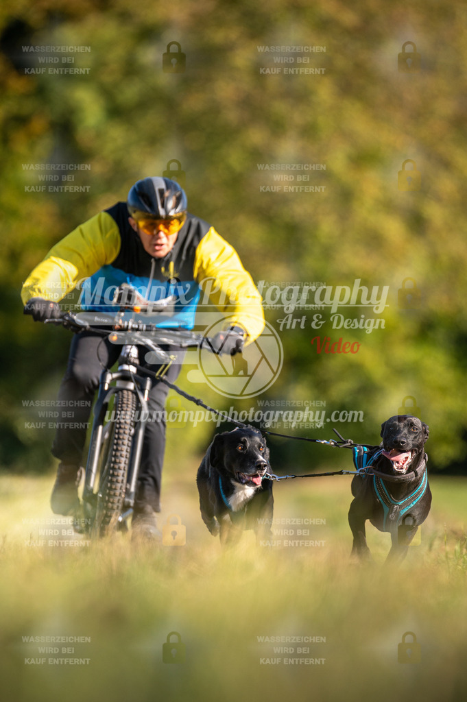 CDLBDB_15_10_2023_Dimanche-374 | mompixphotography