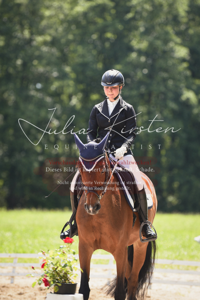 DSC_1391 | Pferde- und Turnierfotografie in Westsachsen. Pferdeportraits, Auftragszeichnungen und intuitive Kunst.