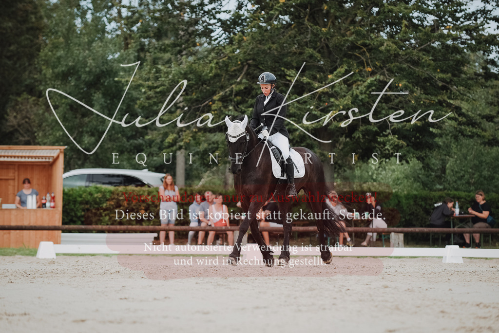 DSC_8624 | Pferde- und Turnierfotografie in Westsachsen. Pferdeportraits, Auftragszeichnungen und intuitive Kunst.