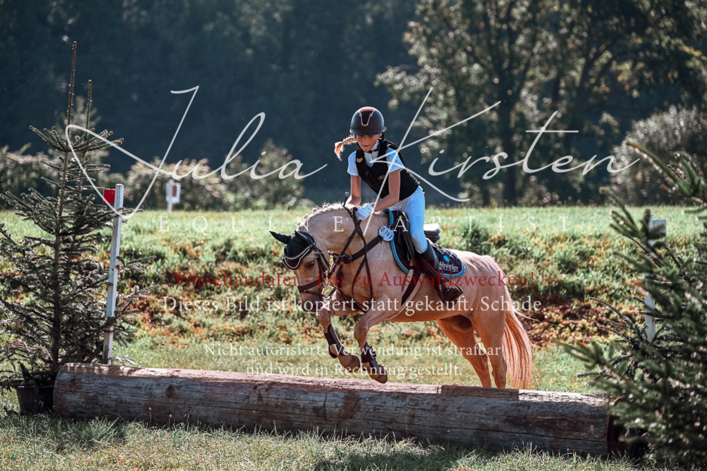 DSC_1050 | Pferde- und Turnierfotografie in Westsachsen. Pferdeportraits, Auftragszeichnungen und intuitive Kunst.