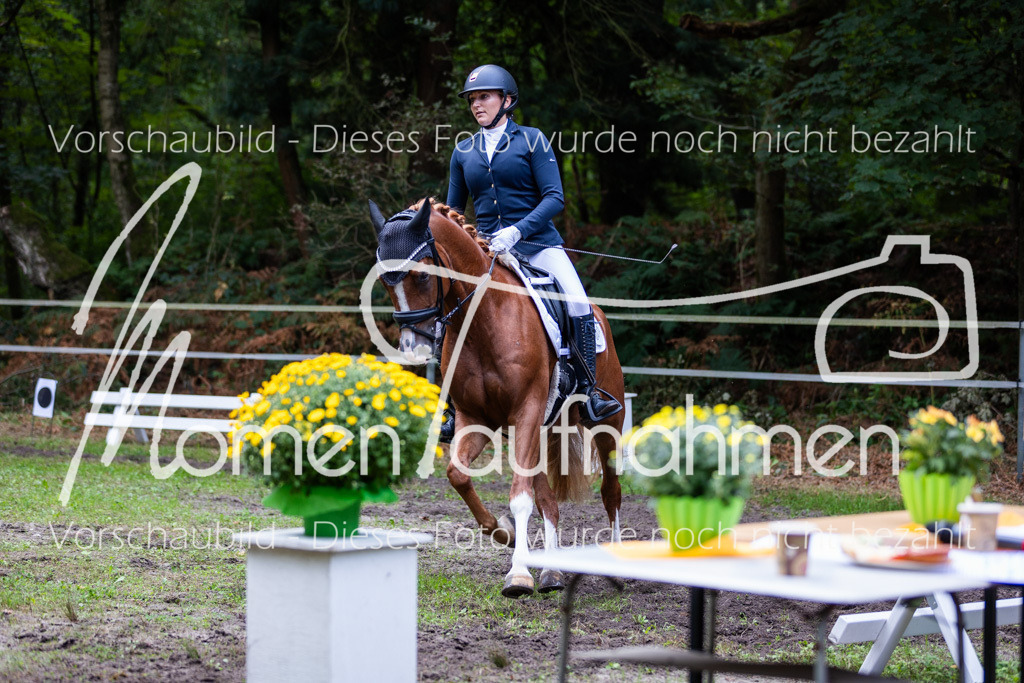 HB-A-Dressur-164 | MomenTaufnahmen Pferdesportfotos