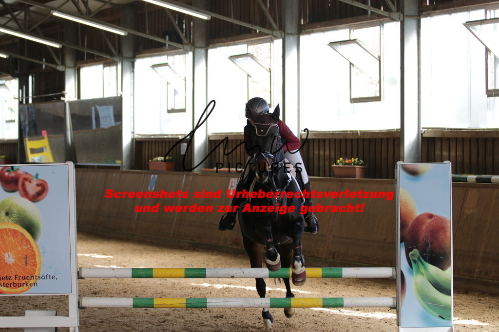 IMG_2771 | lmwpictures - Realisiert mit Pictrs.com