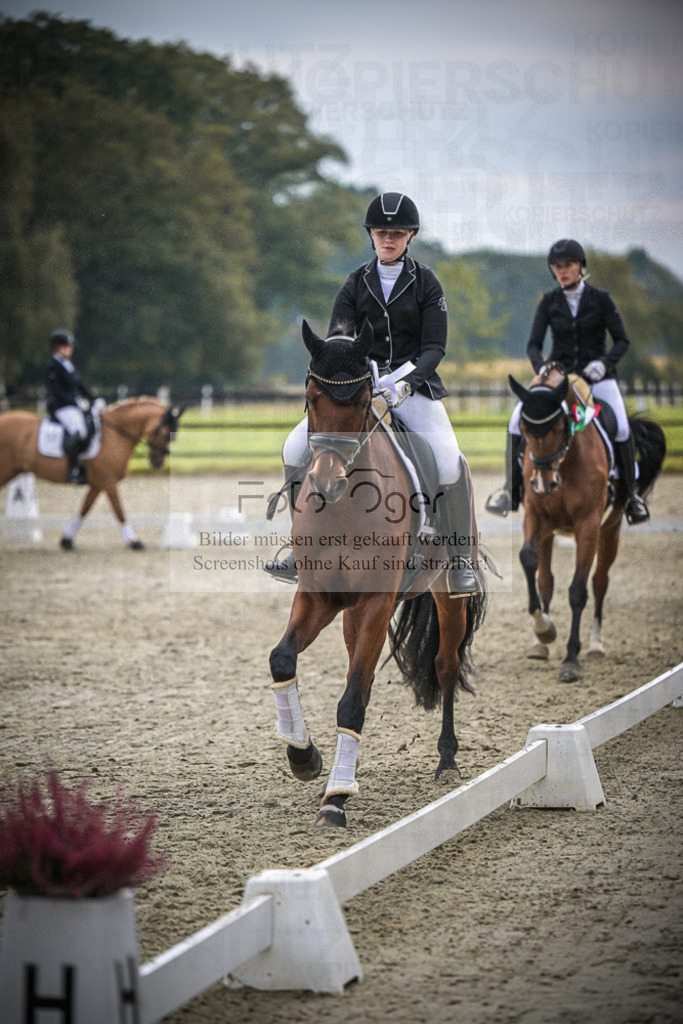 DOS_B313 | Entdecke hochwertige Reitturnierfotos von Foto Oger. Professionell, emotional und authentisch – jetzt Lieblingsmomente im Shop bestellen.Deutschlandweite Turnierfotografie. - Realisiert mit Pictrs.com