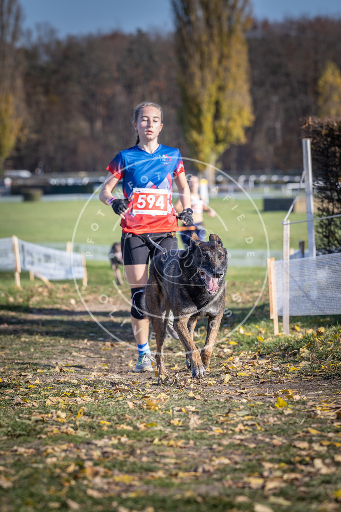 CaniXpix_DV3A9341 | Hundefotografie, Tierfotograf, Pfotenfotografie, Fotoshooting Hund, Hunde Portrait, Hundesport, Hundeportraits, Heideshooting, Hunde, Sportfotograf, Hundefotograf, Turnierhundsport, THS,  - Realisiert mit Pictrs.com