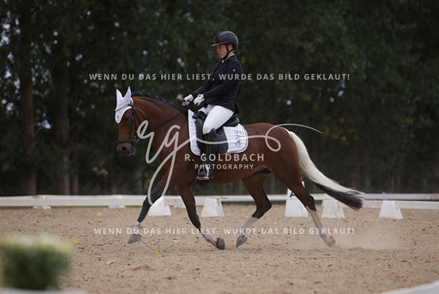 1J2A0869Charlotte Fehr_ Ikon 16_ Kn061_ Wöpkendorf_ Annalena Beier_ Quinn M_ Kn095 | Foto- und Videografie für alles rund ums Pferd. Hochwertige Bilder und Videos vom Spring- und Dressurreiten, Voltigieren & mehr. Jetzt aktuelle Veranstaltungen und Preise im Shop ansehen. - Realisiert mit Pictrs.com