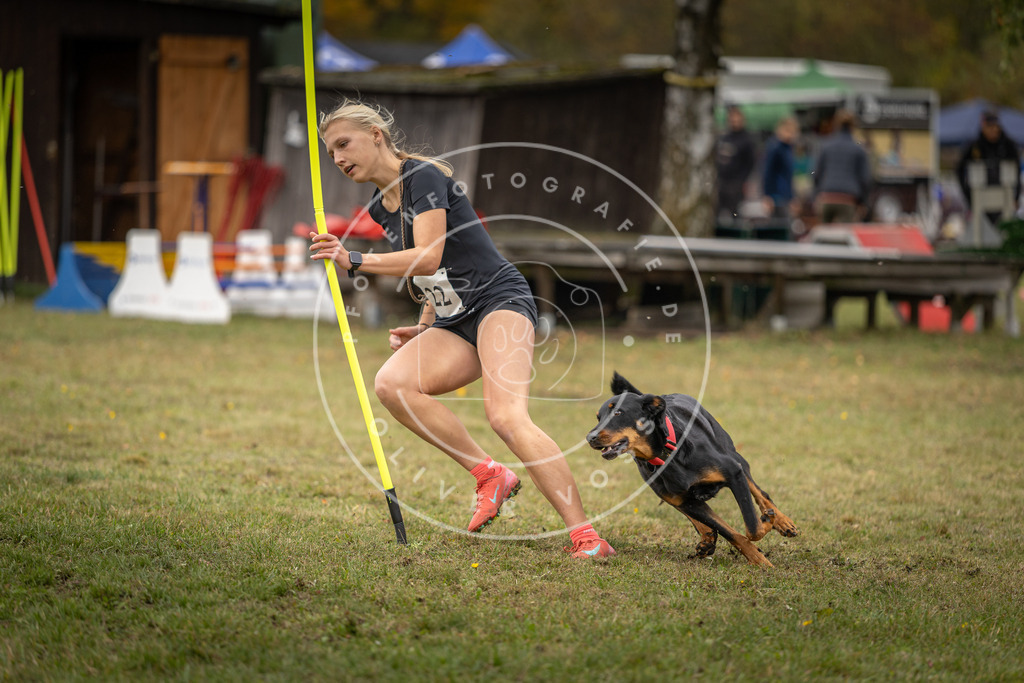 Pfotenfotografie_DV3A7423 | Hundefotografie, Tierfotograf, Pfotenfotografie, Fotoshooting Hund, Hunde Portrait, Hundesport, Hundeportraits, Heideshooting, Hunde, Sportfotograf, Hundefotograf, Turnierhundsport, THS,  - Realisiert mit Pictrs.com