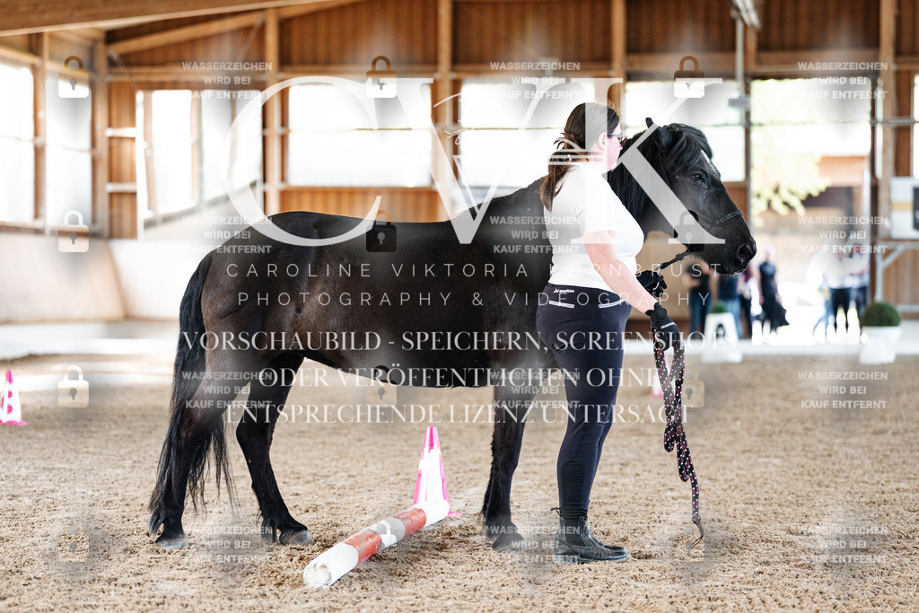 CK905713 | Turnierfotografie Pferdefotografie Trier Rheinland-Pfalz Pferdesport Reitsport Tierfotografie Sportfotografie Pferdevideo Pferdevideografie Equestrianvideography equestrianphotography  - Realisiert mit Pictrs.com