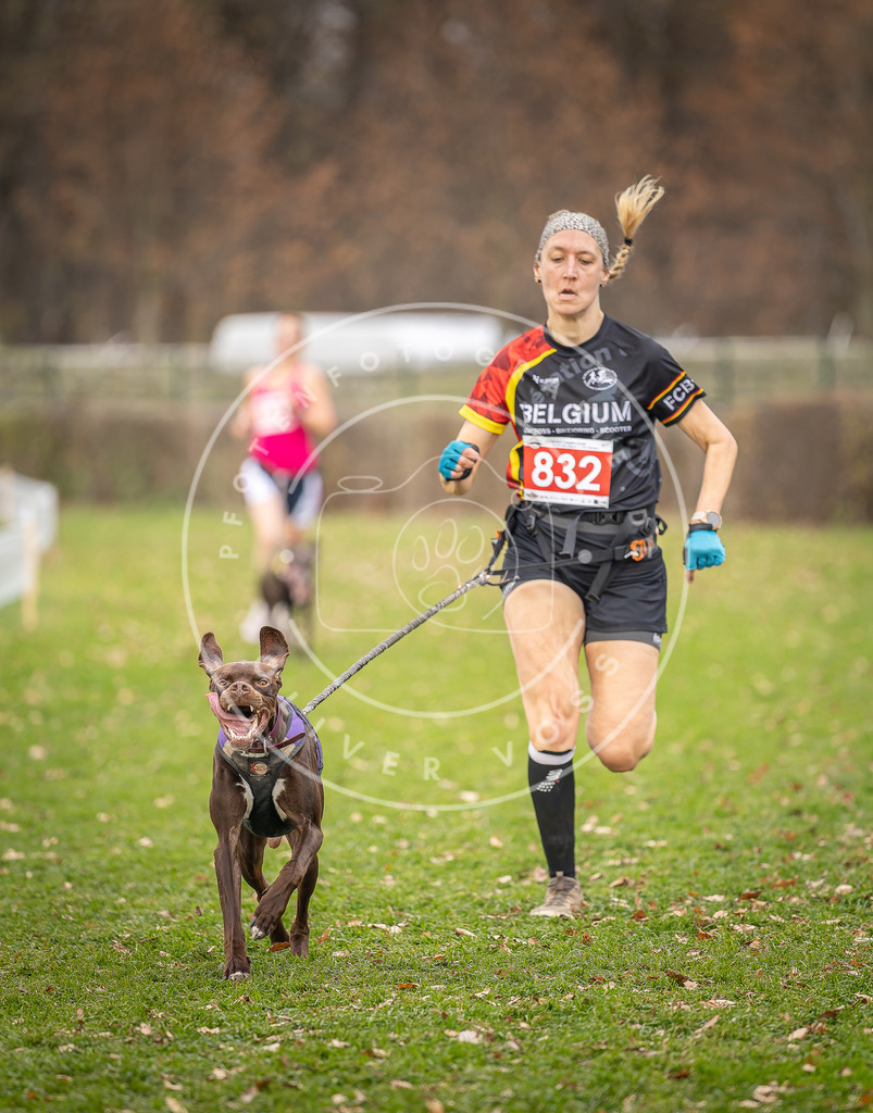 CaniXpix_DV3A6433 | Hundefotografie, Tierfotograf, Pfotenfotografie, Fotoshooting Hund, Hunde Portrait, Hundesport, Hundeportraits, Heideshooting, Hunde, Sportfotograf, Hundefotograf, Turnierhundsport, THS,  - Realisiert mit Pictrs.com