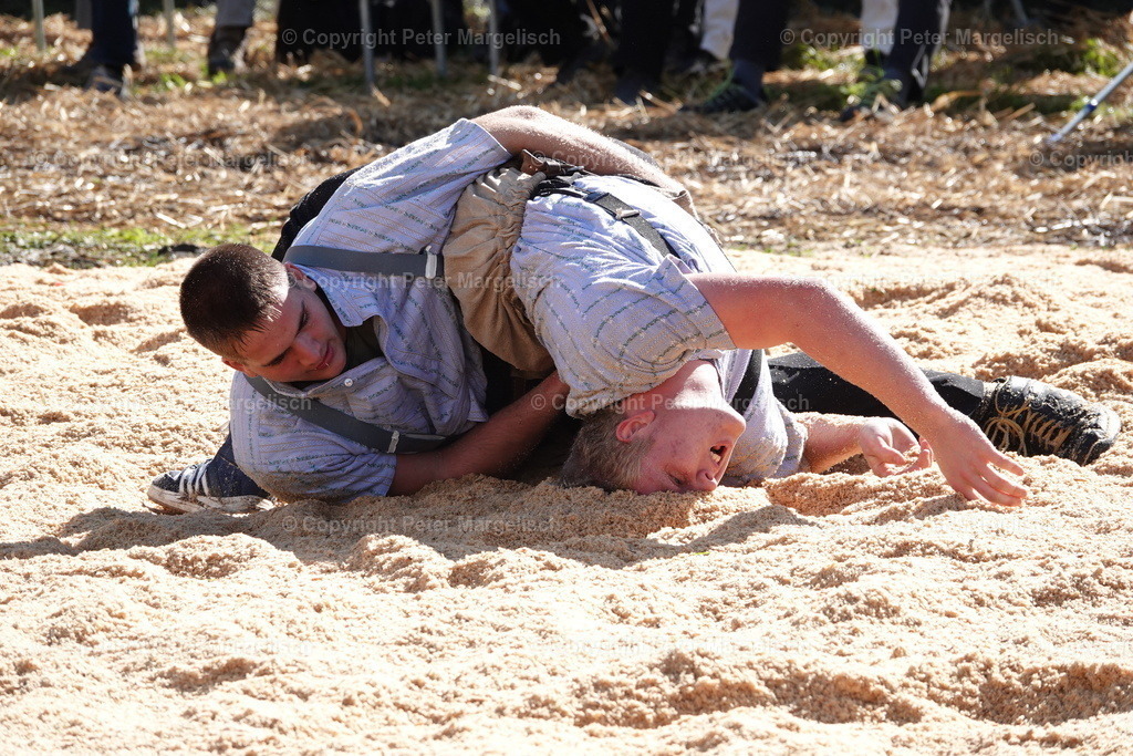 DSC00016 | Schwingen - Realisiert mit Pictrs.com