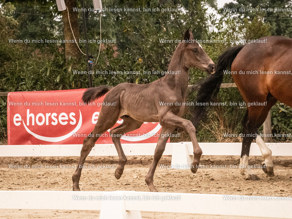 A10I1134 | photographylinaismer - Realisiert mit Pictrs.com