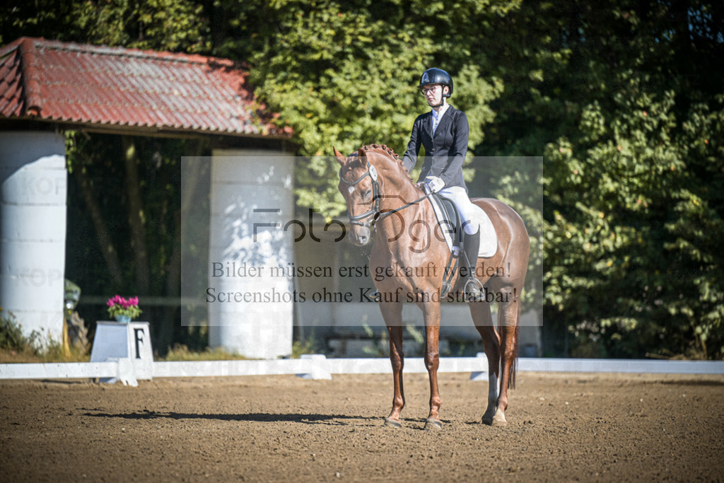 DOS_2156 | Entdecke hochwertige Reitturnierfotos von Foto Oger. Professionell, emotional und authentisch – jetzt Lieblingsmomente im Shop bestellen.Deutschlandweite Turnierfotografie. - Realisiert mit Pictrs.com