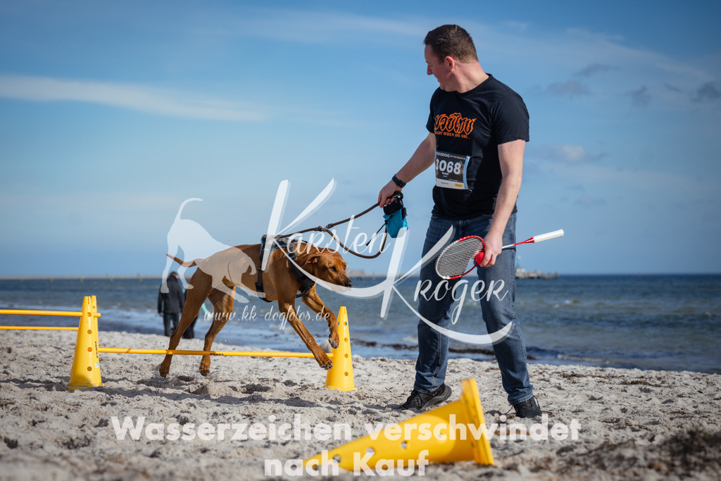 1336_ZZ92233 | kk-dogfotos