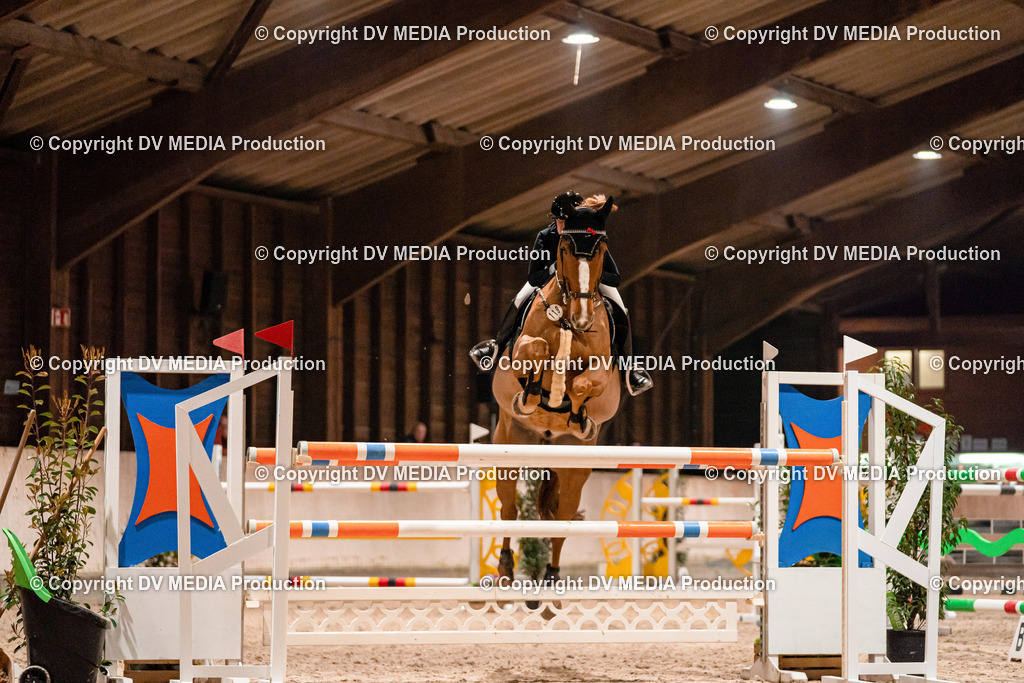 Springen Tag 2-895 | dv-media-shop - Realisiert mit Pictrs.com