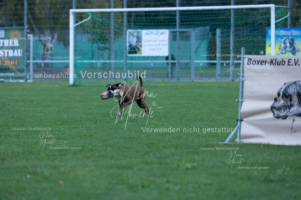 _16A4445 | Einzigartige Fotos von Hunden & Menschen –Actionfotos, Portraits, Vereinsaufnahmen & Paarshootings – authentisch, lebendig & mit Herz.